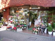 「美松花園」　（福岡県福岡市中央区）の花屋店舗写真1